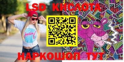 прущие крисы Бердск