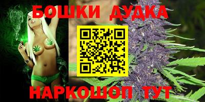 прущие крисы Бердск