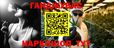 прущие крисы Бердск
